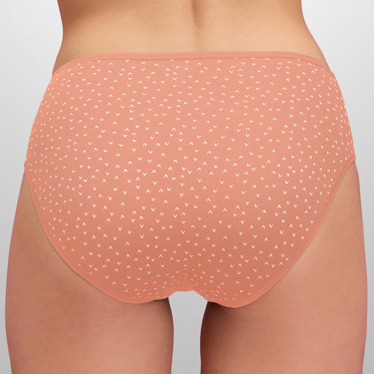 Pack of 5 Cotton Hipster with Anti odor-NYP033P05-Multi-Color