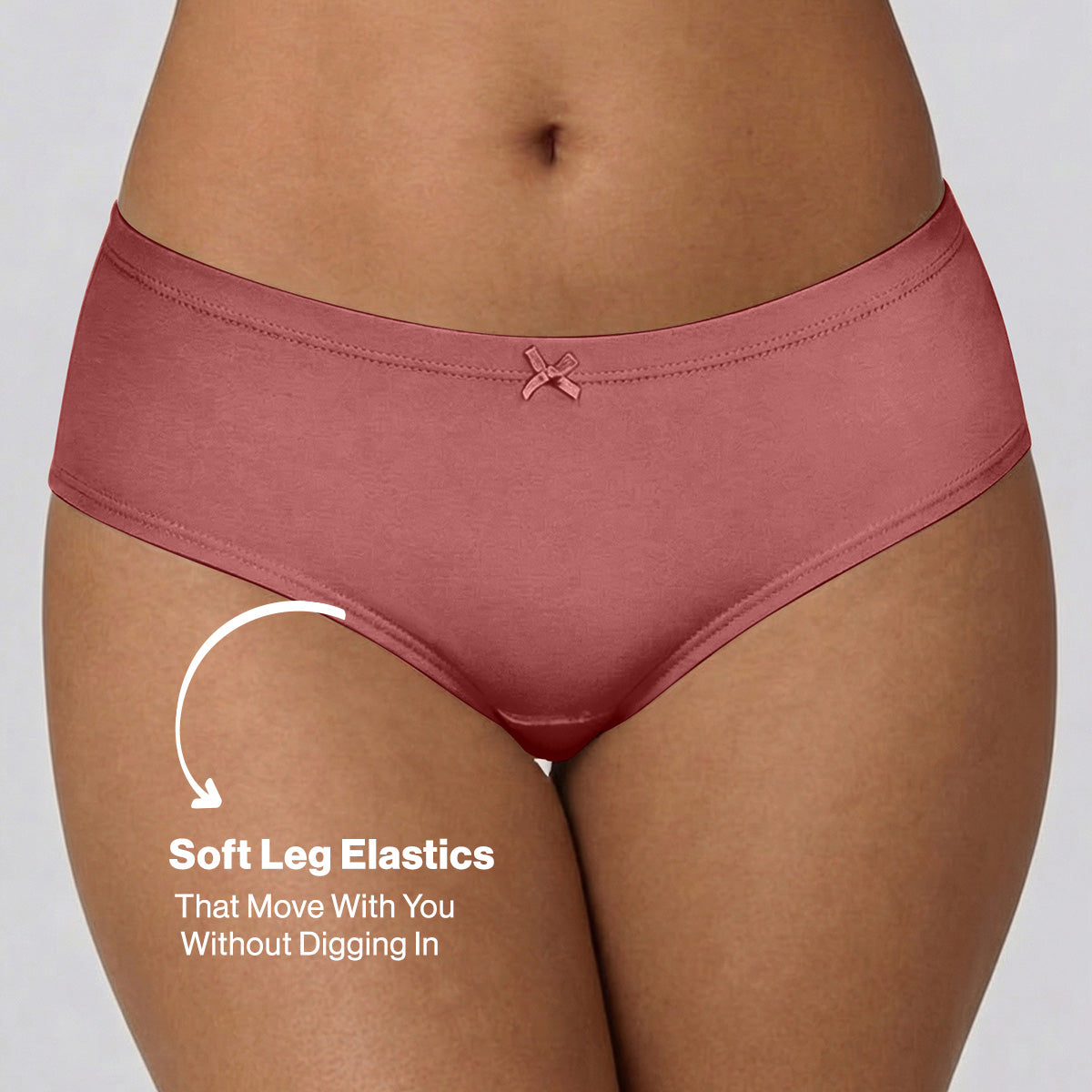 Mid Rise Cotton Hipster Panty with Inner Elastic-NYP100 PO3 Wedgewood Dusty Cedar Withered Rose
