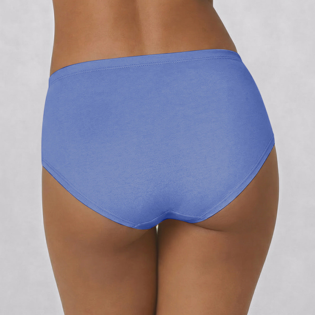 Mid Rise Cotton Hipster Panty with Inner Elastic-NYP100 PO3 Wedgewood Dusty Cedar Withered Rose