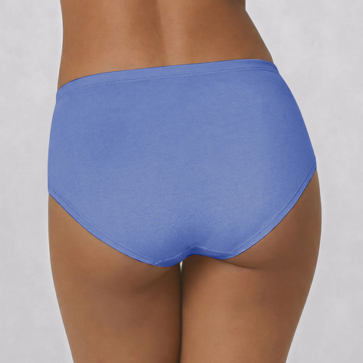 Mid Rise Cotton Hipster Panty with Inner Elastic-NYP100 PO3 Wedgewood Zypher Dusty Cedar