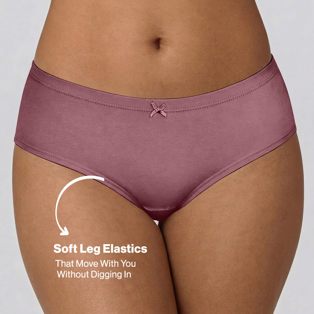 Mid Rise Cotton Hipster Panty with Inner Elastic-NYP100 PO3 Withered Rose Wistful Mauve Potent Purple