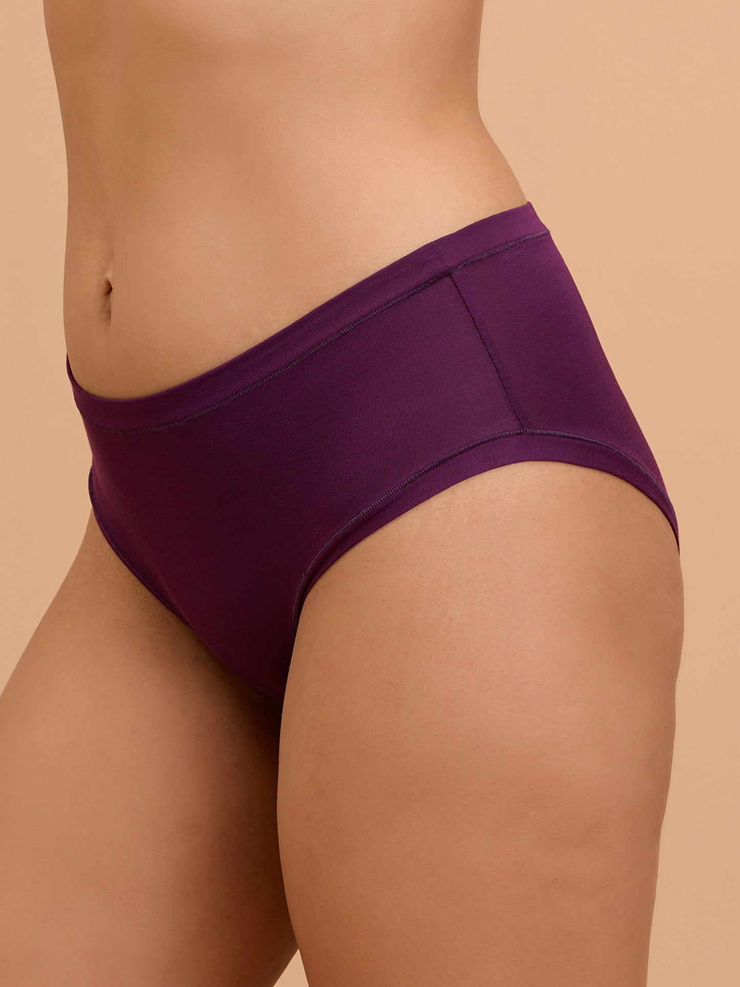 Modal Akin To Skin Super Soft Hipster Panty-NYP383-Eggplant