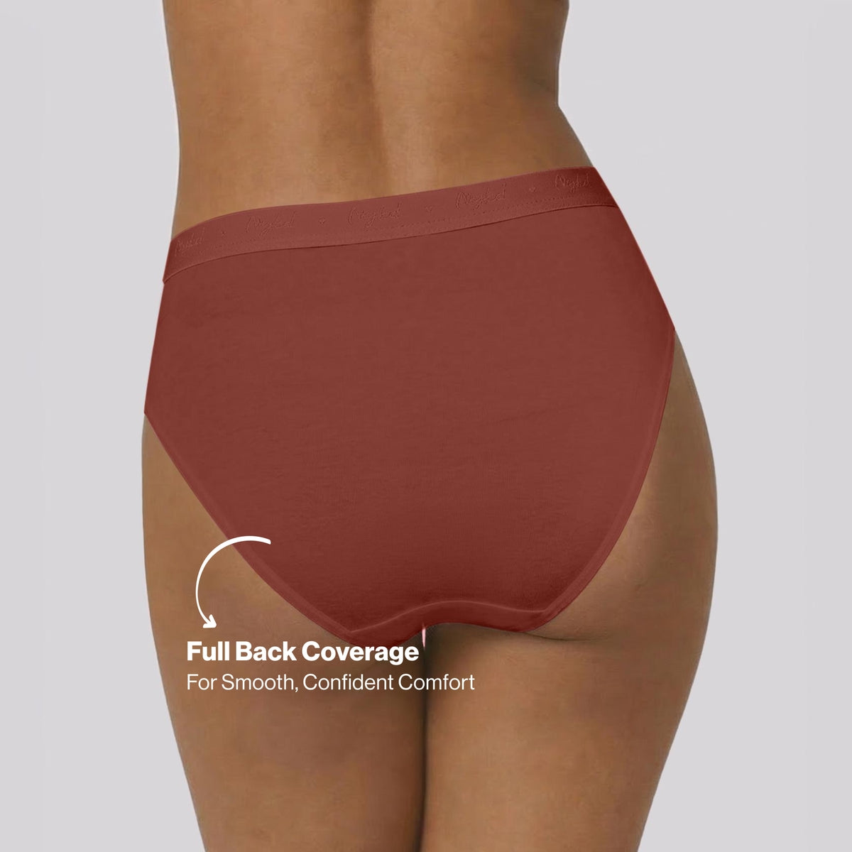 PO3 Mid Rise Cotton Hipster Panty with Outer Elastic- NYP391 B Maroon,T Plum,Jet Black