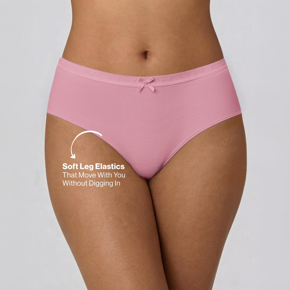 PO3 Mid Rise Cotton Hipster Panty with Outer Elastic- NYP391 M Wine,Blush,Dark Skin