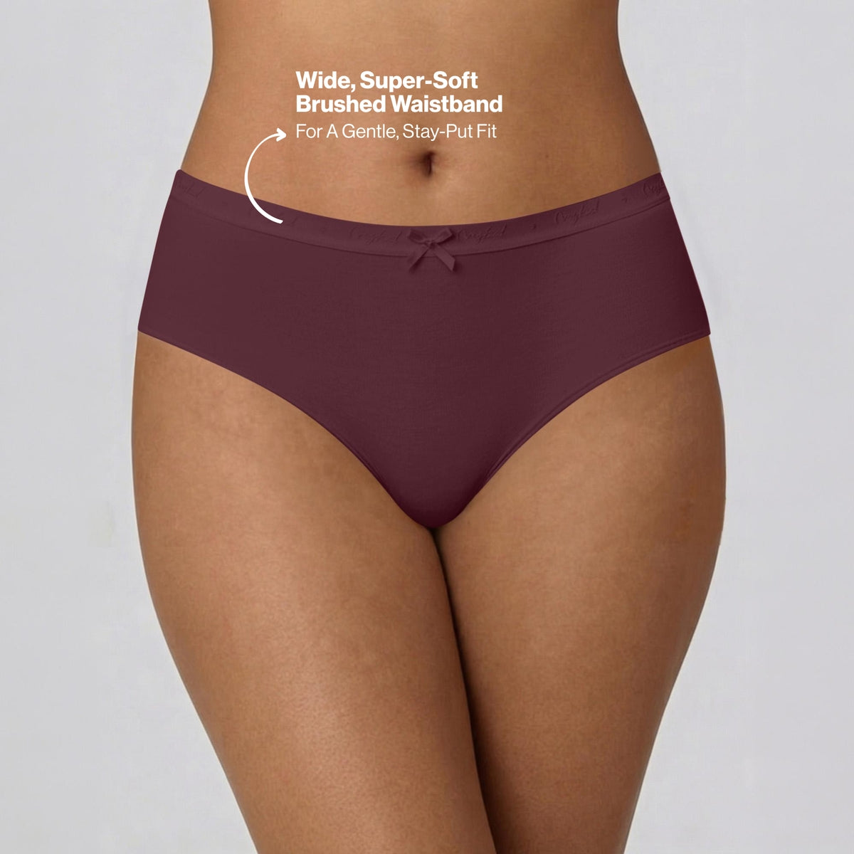 PO3 Mid Rise Cotton Hipster Panty with Outer Elastic- NYP391 Wine,Brown, Dk. Skin