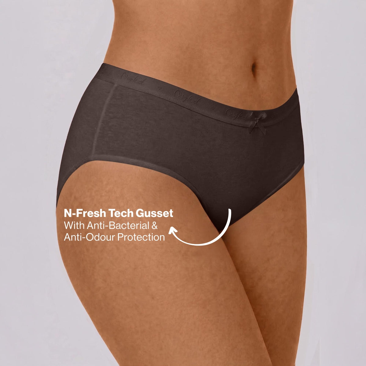 PO3 Mid Rise Cotton Hipster Panty with Outer Elastic- NYP391 Wine,Brown, Dk. Skin