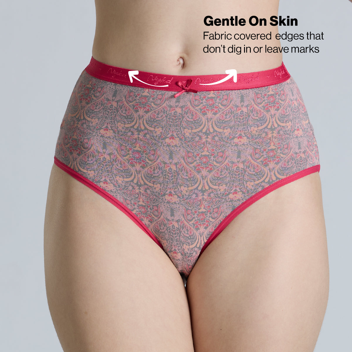 "Nykd by Nykaa High Rise Cotton Full Brief Panty with Outer Elastic-NYP392-Assortment 19-P03"