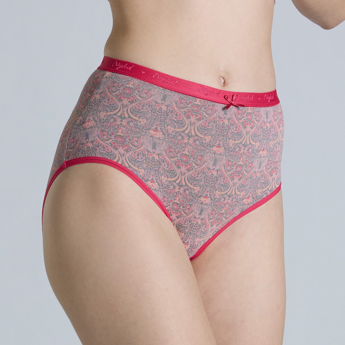 "Nykd by Nykaa High Rise Cotton Full Brief Panty with Outer Elastic-NYP392-Assortment 19-P03"