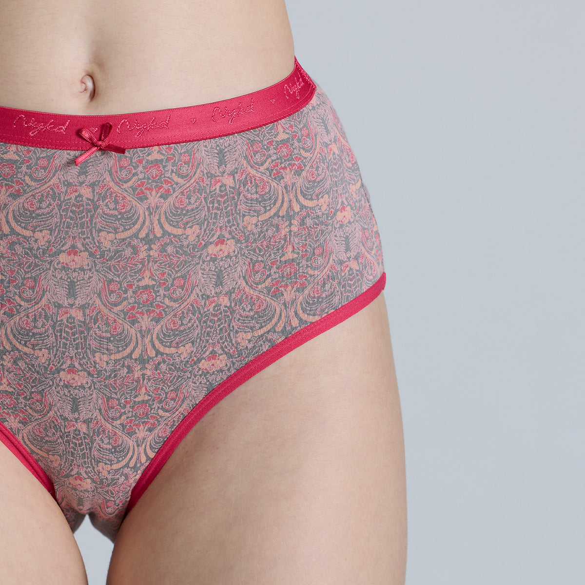 "Nykd by Nykaa High Rise Cotton Full Brief Panty with Outer Elastic-NYP392-Assortment 19-P03"