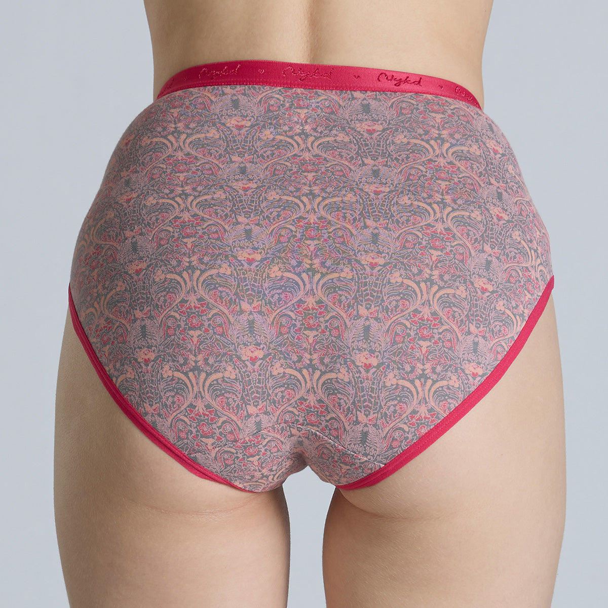 "Nykd by Nykaa High Rise Cotton Full Brief Panty with Outer Elastic-NYP392-Assortment 19-P03"