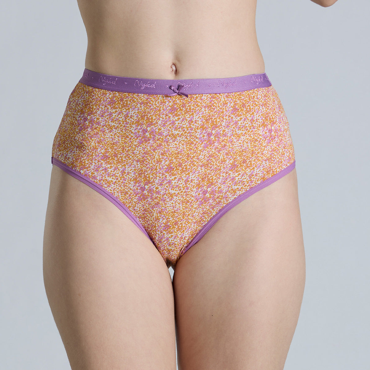 "Nykd by Nykaa High Rise Cotton Full Brief Panty with Outer Elastic-NYP392-Assortment 19-P03"