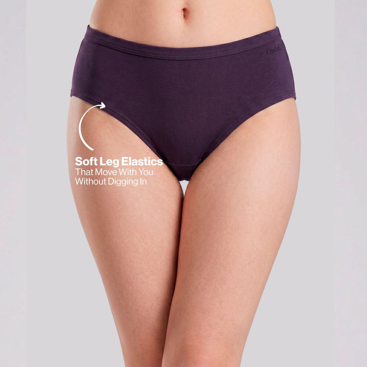 PO3 Mid Rise 100% Cotton Hipster Panty with Inner Elastic - NYP451 Rust,D Grape,Brown