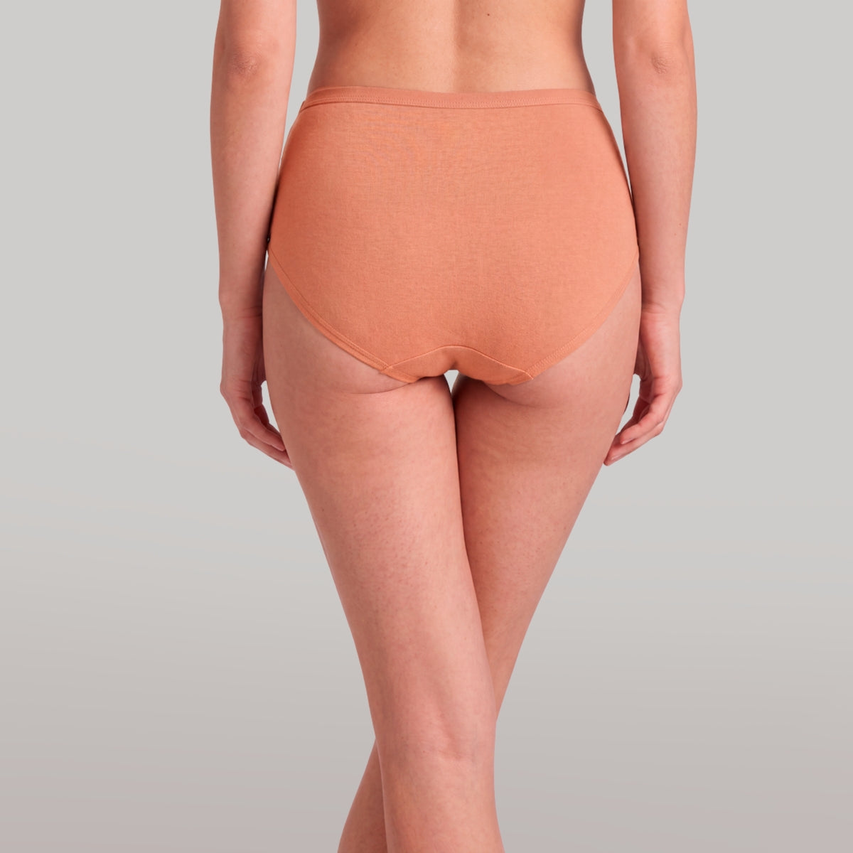 PO3 Mid Rise 100% Cotton Hipster Panty with Inner Elastic - NYP451 Wine,D Purple,Clay
